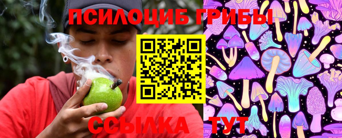 Галлюциногенные грибы Psilocybe Усинск